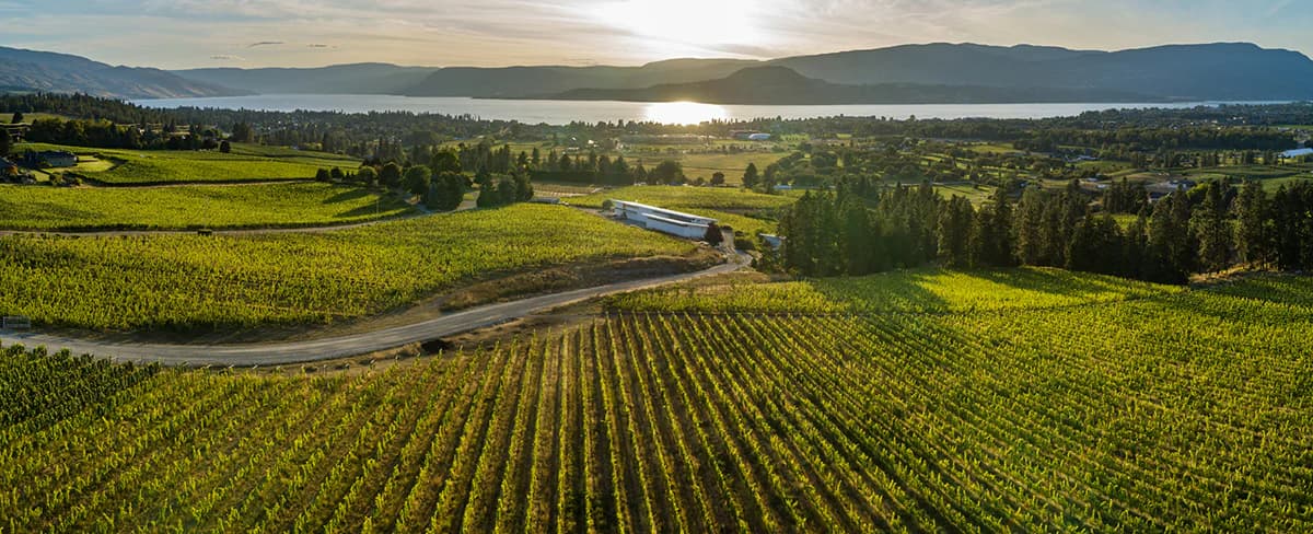How Easy Appointments drove 10% growth in winery experiences for Tantalus Vineyards