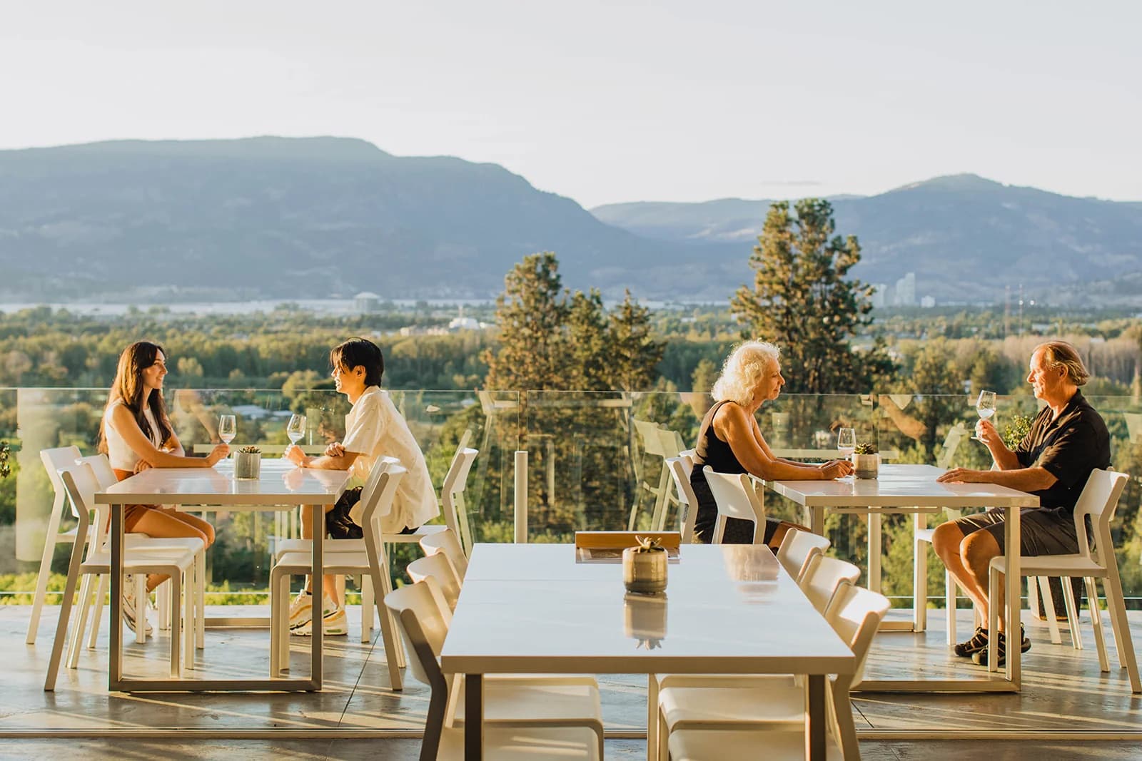 Wine Tasting Experience